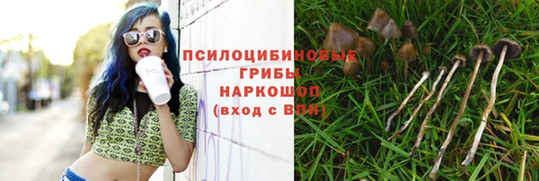молекула духа Корсаков