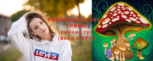 молекула духа Корсаков
