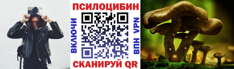 Галлюциногенные грибы Cubensis  дарк нет наркотические препараты  Завитинск 